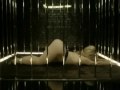 Lady Gaga Shakira Pitbull Madonna David Guetta Akon MaNuMixx Remix Version MUSIC VIDEO