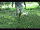 COCKABICHONS FOR SALE(DJ AND CONNER)