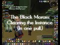 World of Warcraft - Entire BM in 1 Pull - Paladin Tank