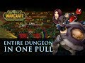 World of Warcraft - Entire BM in 1 Pull - Paladin Tank
