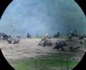 dadia-birdwatching-3.html