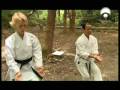 Artes marciales - Karate - Parte 3 de 5