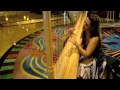 Alejandra Medrano - Bois Solitaire