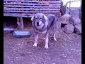 Uki-Teqe