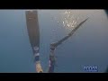 Pillole di pesca in apnea: la Spigola