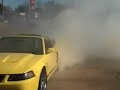 Mustang Steeda Burnout Cobra Donuts