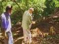 Huell Howser, Avocados and a Dog that Eats Avocados
