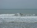 Pedro Ivo Surf Grumari Pedro Ivo Surf Grumari