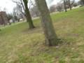 videos de garden