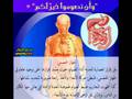 أرسلت بواسطة ahmed في Mon Aug 1 2011 في 11:52am