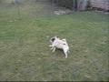 videos de Stella V Walter The Director's Cut.wmv