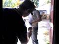 videos de Trevecca Cannon