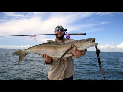 Sabine Report: 50lb Ling vs Avet SX MC