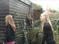 De 10 van CKV