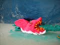 Vacation in Hawaii Ends with Shark Attack Vacation in Hawaii Ends with Shark Attack