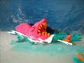 Vacation in Hawaii Ends with Shark Attack