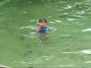 Florida Springs