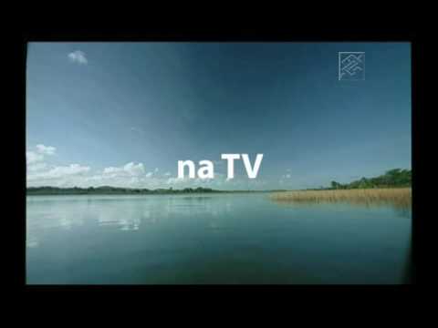 Imagem de Amostra do You Tube