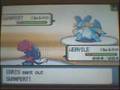 Pokemon Wifi Battle vs Chris (narrated)