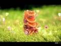 Amita - Frooties