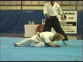 Shihan Mori Sensei 7thDan Aikido Yoshinkan shomen-tski jiyu-waza 07