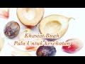 Khasiat Buah Pala Untuk kesehatan