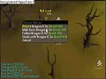 Best ever luring!