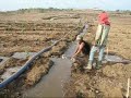 Teak-Invest www.teakinfo.com