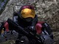Lower the Guns Video: Information