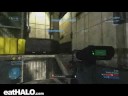 Shotty Sni 001