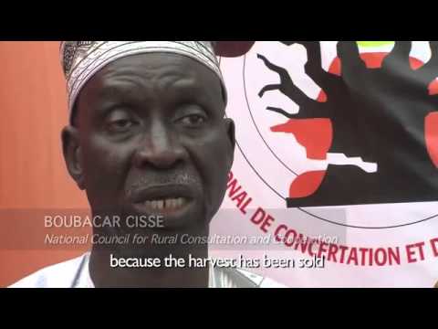 global post - On Location (cycle of debt) - Globalpost.