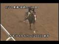 [調教] 080611 リキアイタイカン 「CBC賞」前追い切り