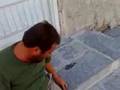 videos de Verdo Saverio