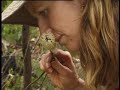 Down South Eco Tours