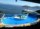 HongKong Ocean park 21