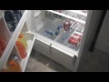 Yzermanthedog and the fridge