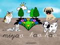 animals