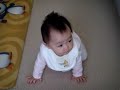 Cassidy can enter crawling contest (2 of 2)