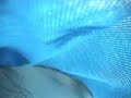 Darren Hayman - The Crocodile
