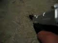 shoot the roach shoot the roach