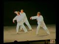 TAI CHI CHUAN TI EHR LU
