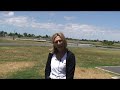 Council opposes land swap at Caulfield Racecourse