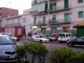 un pitone sul balcone a bagnoli un pitone sul balcone a bagnoli