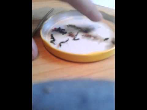 how to make a slow burning fuse