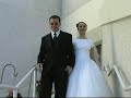 Wedding Dreams Wedding Dreams