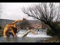 LIVNO : LIVNO JE...