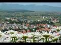 Livanjska rapsodija : LIVNO JE ...