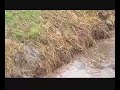 More Ashbourne Mud