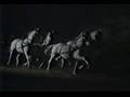 Dracula Documentary