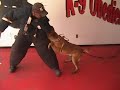 Advanced Training